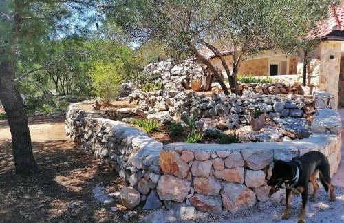 Vacation house Punta sunca - Foto 28