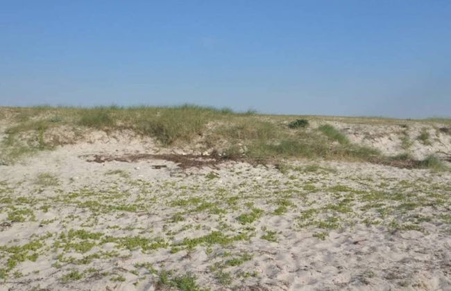 5 Person Holiday Home in Follenslev - Foto 9