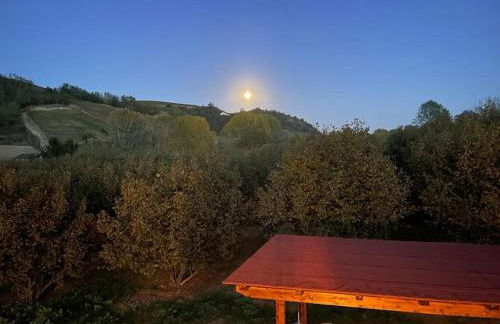 Cà d'Rita Monferrato - Barbera idromassaggio e piscina esterni - Foto 33