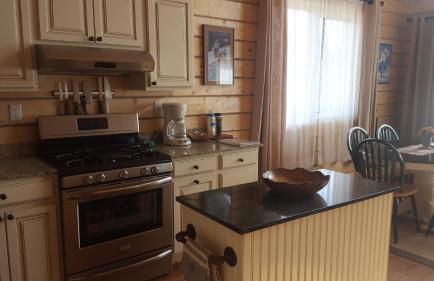 Denali Wild Stay - Bear Cabin with Hot Tub and Free Wifi, Private, sleep 6 - Foto 9