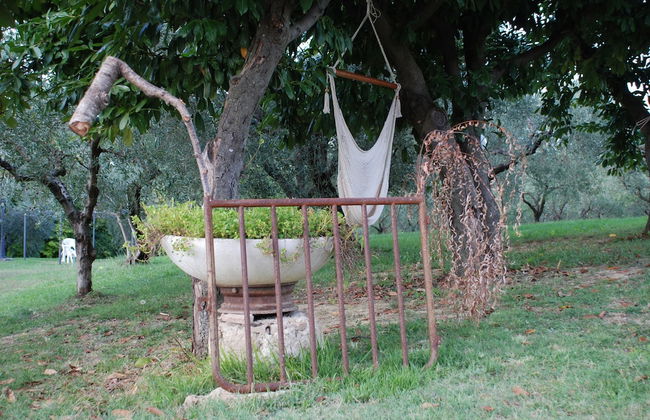 Tenuta San Savino delle Rocchette - Foto 72