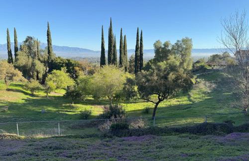 Riverside Views & Pool Retreat - Foto 6