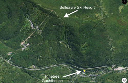 Pinetree Guesthouse - Foto 48