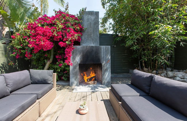 Cactus Flower - Foto 29