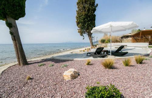 Mermaid Beachfront Villa - Photo 18