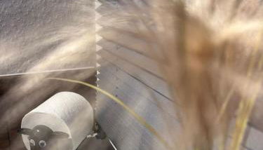 Appartement Königshütte - Foto 5