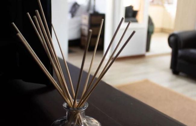 Modern Farm - Foto 6