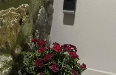 Meraki house of kalymnos Apartments - Photo 47