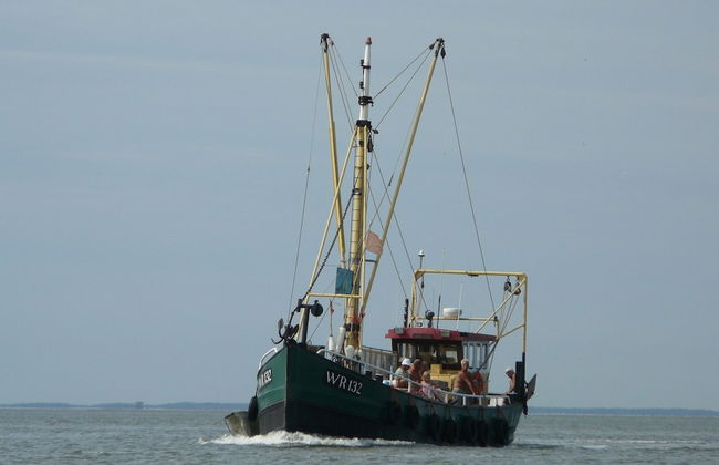 Cozy Villa with Garden near Wadden Sea - Foto 37