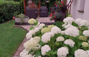 Noclegi Dobrzeń Wielki - Foto 19