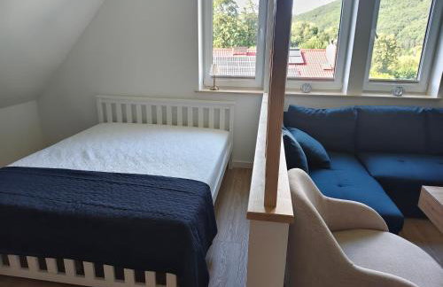 Willa Rogaś II - Foto 6