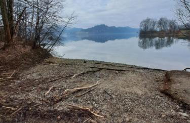 Majkowiczówka - Photo 20