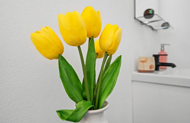 Otium Rentals Best Condado Location Near Beach - Photo 24