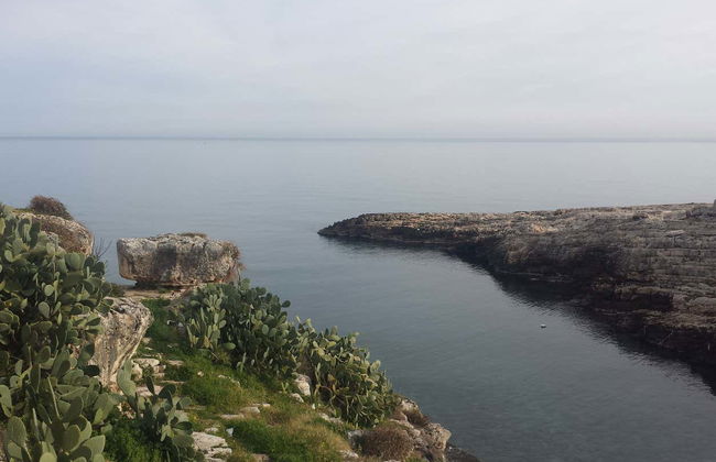 Bautismo de buceo en Polignano a Mare - Foto 4