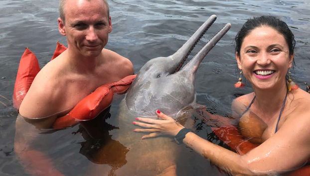 Swimming with pink dolphins