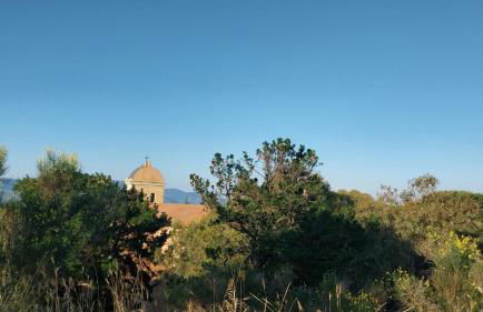 Il Calice dell'Etna - Foto 38
