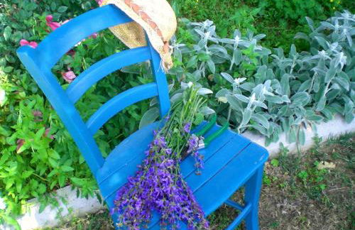 Casa sull'Albero Aromantica - Foto 24