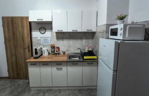 Mazury Apartament Nad Drwęcą - Foto 6