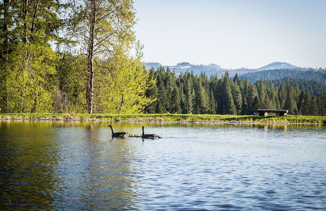 Greenhorn Ranch - Foto 10