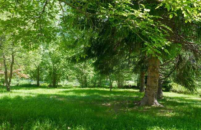 Chalet Al Portic - Foto 21