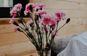 Domek na Drzewie Radziejowice blisko Suntago - Photo 3