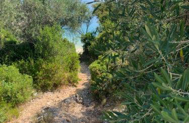 Villa Sofia - Photo 38