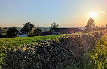 La Vieille Maison aux Canards - Foto 37