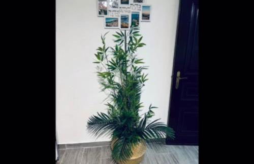 Casinha da Palmeira - Foto 15