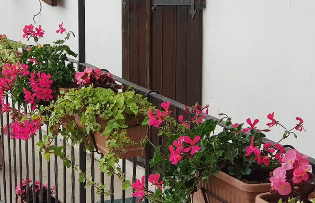 Cascina Moretta - Foto 30