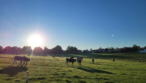 Ferienhaus Heiß - Foto 5
