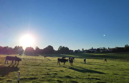Ferienhaus Heiß - Foto 5
