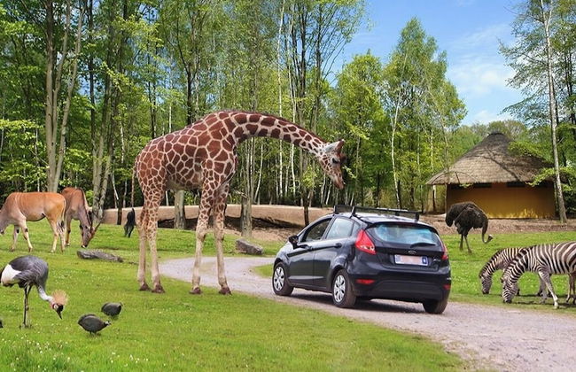 La Grange de David - Foto 56