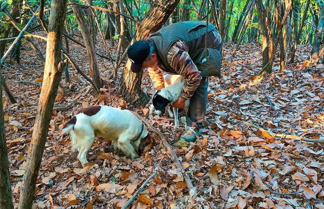 Relais Villa del Borgo - Photo 45