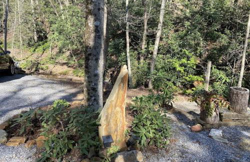 Beech Creek Cabin, lower unit, Black Mountain - Foto 40