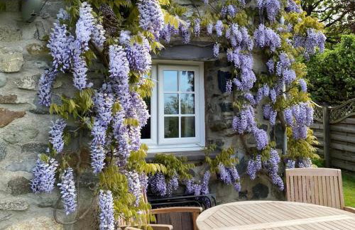 2 Bed in Caernarfon oc-56989 - Foto 22