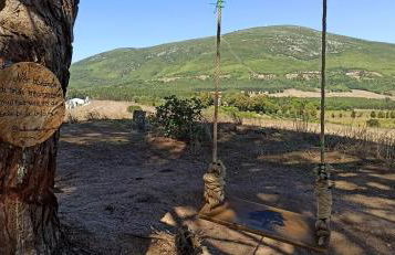 Murta's Home - Foto 43