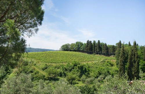 Agriturismo Terre di Toscana - Foto 58