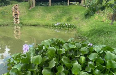 Chalé Alto da Montanha - Foto 14