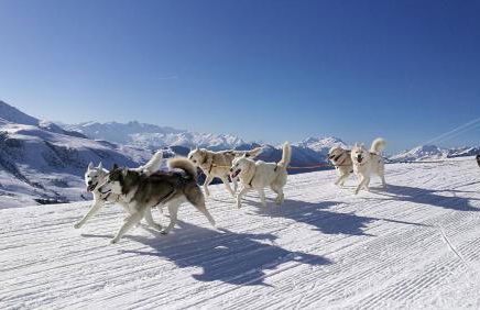 Chalet 6 à 8pers pied des pistes, piscine et vue - Photo 26
