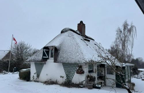 Emmis-Ferienhaus - Foto 29