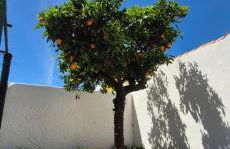 Villa Picasso - Foto 16