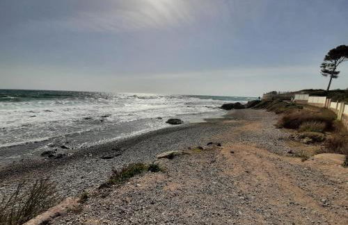 Le Méditerranéo - Foto 20