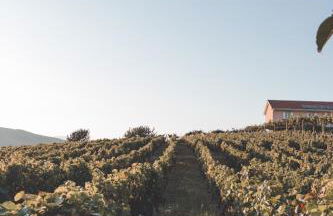 Casa do Cruzeiro Quinta do Couto - Photo 32