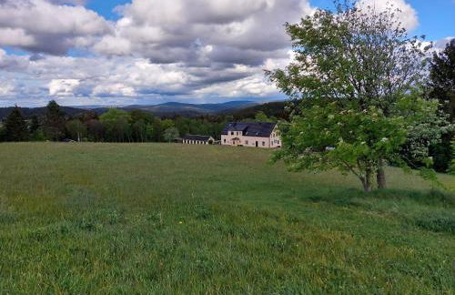 Ferienwohnung Seifert - Foto 15