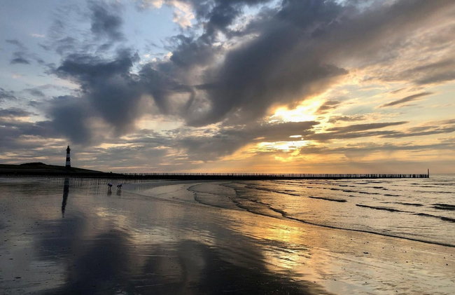 Cosy Bungalow Near the Beach - Photo 42