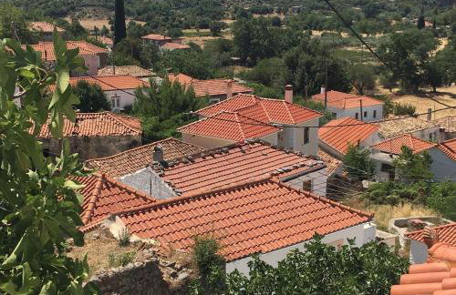 Lillian's Traditional House - Photo 25