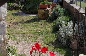 Apartments with a parking space Zupanje, Krk - 5307 - Foto 7