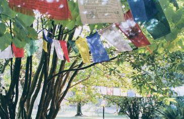 Villa Oliviana - Foto 27