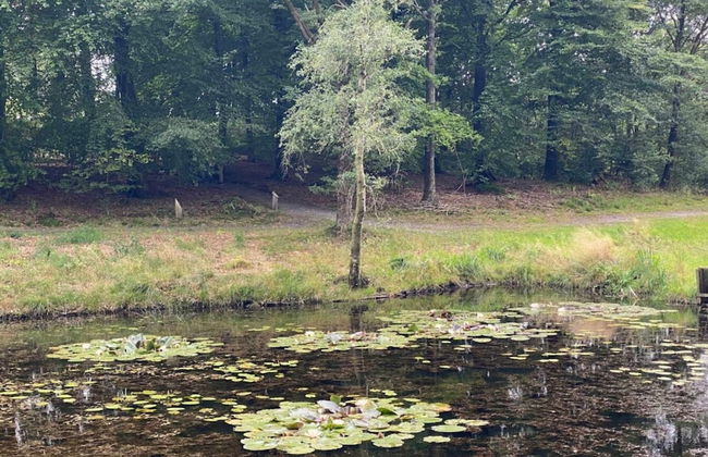 5 Star Holiday Home in Hovborg - Foto 47