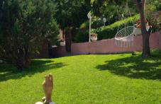 domus rosada - Foto 69